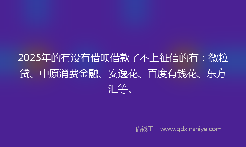 2025年的有没有借呗借款了不上征信的有：微粒贷、中原消费金融、安逸花、百度有钱花、东方汇等。