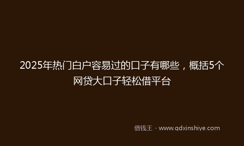2025年热门白户容易过的口子有哪些，概括5个网贷大口子轻松借平台