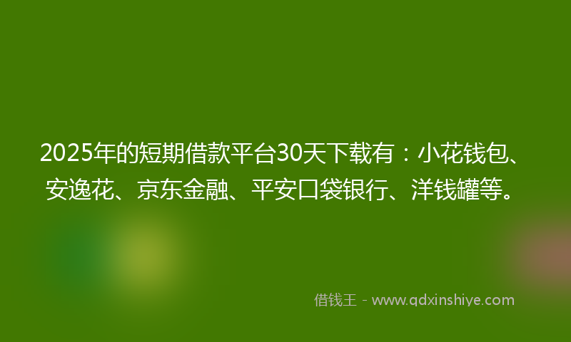 2025年的短期借款平台30天下载有：小花钱包、安逸花、京东金融、平安口袋银行、洋钱罐等。