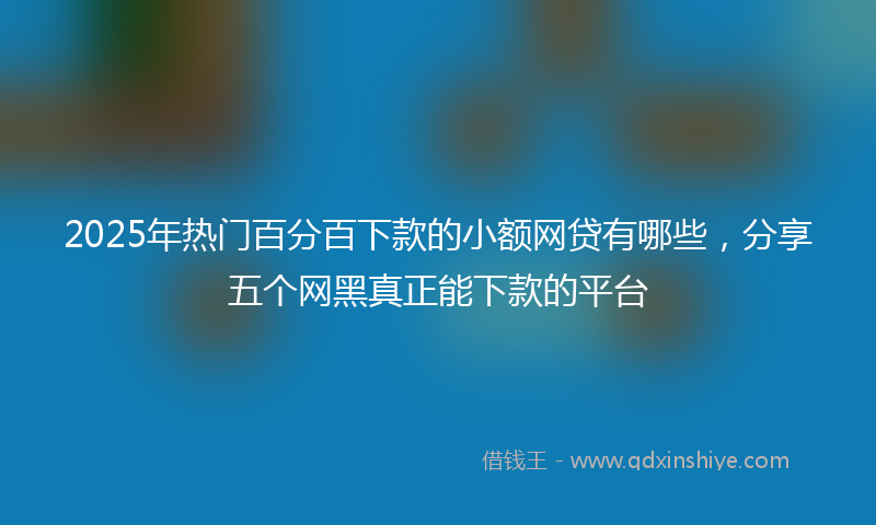 2025年热门百分百下款的小额网贷有哪些，分享五个网黑真正能下款的平台