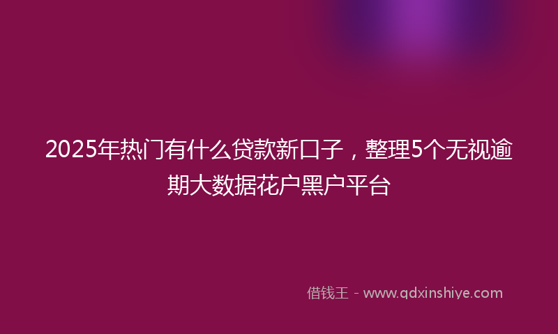 2025年热门有什么贷款新口子，整理5个无视逾期大数据花户黑户平台