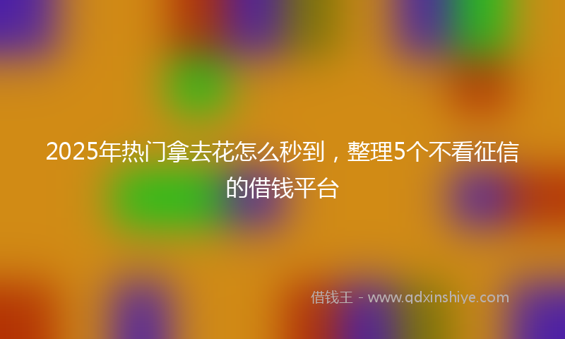 2025年热门拿去花怎么秒到，整理5个不看征信的借钱平台