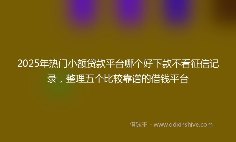 2025年热门小额贷款平台哪个好下款不看征信记录，整理五个比较靠谱的借钱平台