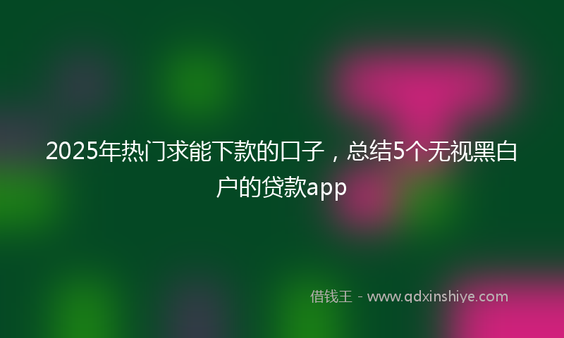 2025年热门求能下款的口子，总结5个无视黑白户的贷款app