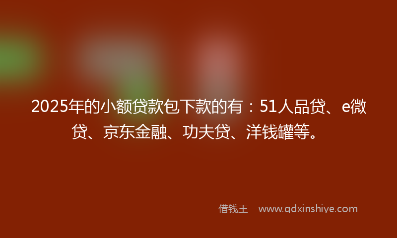 2025年的小额贷款包下款的有：51人品贷、e微贷、京东金融、功夫贷、洋钱罐等。
