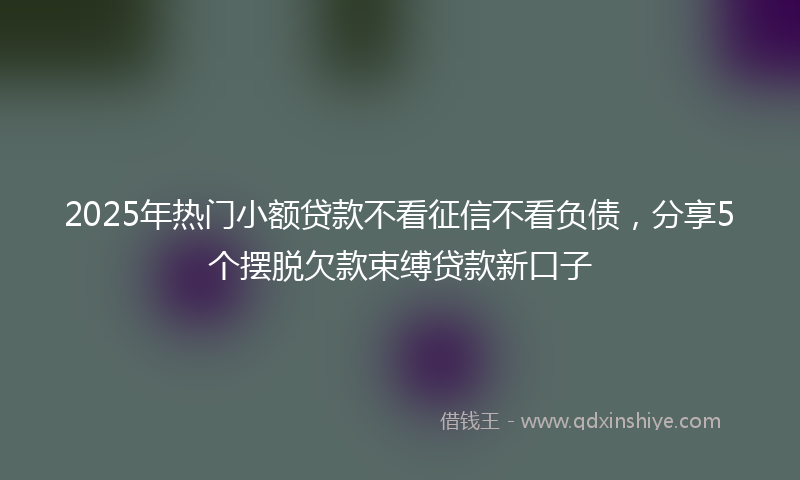 2025年热门小额贷款不看征信不看负债，分享5个摆脱欠款束缚贷款新口子