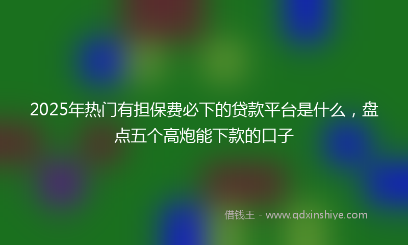 2025年热门有担保费必下的贷款平台是什么，盘点五个高炮能下款的口子