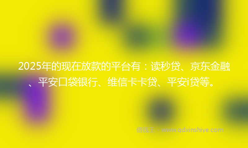2025年的现在放款的平台有：读秒贷、京东金融、平安口袋银行、维信卡卡贷、平安i贷等。