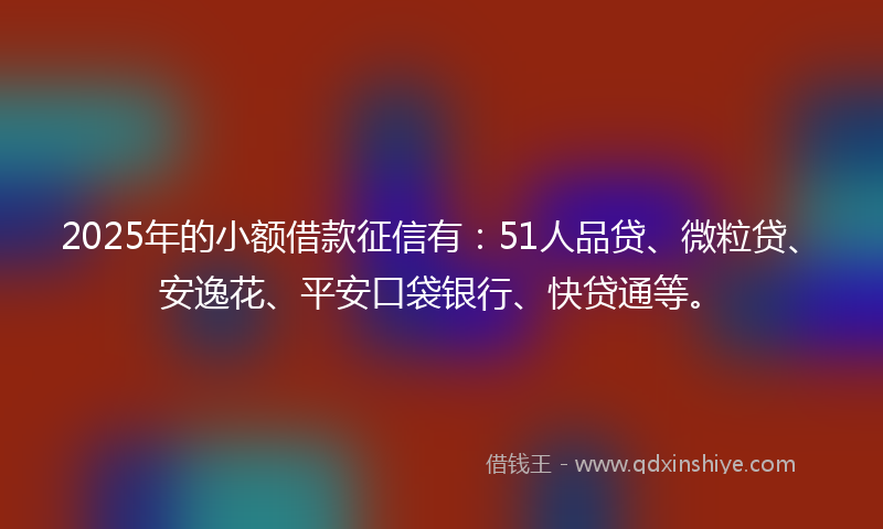 2025年的小额借款征信有：51人品贷、微粒贷、安逸花、平安口袋银行、快贷通等。