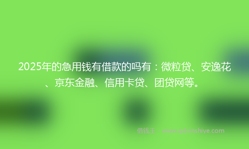 2025年的急用钱有借款的吗有：微粒贷、安逸花、京东金融、信用卡贷、团贷网等。