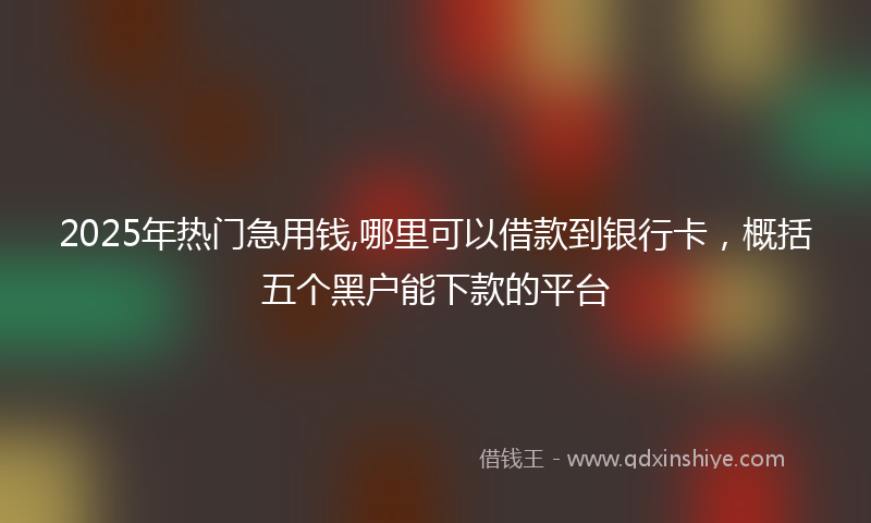 2025年热门急用钱,哪里可以借款到银行卡，概括五个黑户能下款的平台