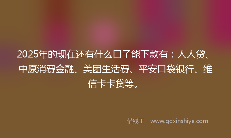 2025年的现在还有什么口子能下款有：人人贷、中原消费金融、美团生活费、平安口袋银行、维信卡卡贷等。