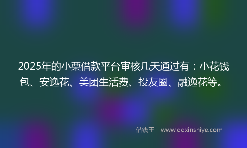 2025年的小栗借款平台审核几天通过有：小花钱包、安逸花、美团生活费、投友圈、融逸花等。