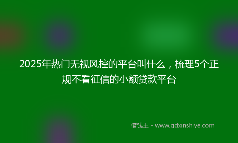 2025年热门无视风控的平台叫什么，梳理5个正规不看征信的小额贷款平台