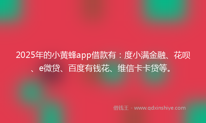 2025年的小黄蜂app借款有：度小满金融、花呗、e微贷、百度有钱花、维信卡卡贷等。