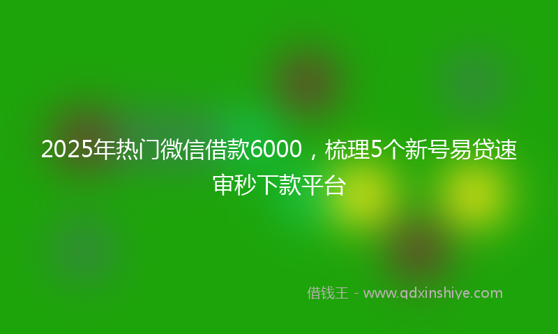 2025年热门微信借款6000，梳理5个新号易贷速审秒下款平台