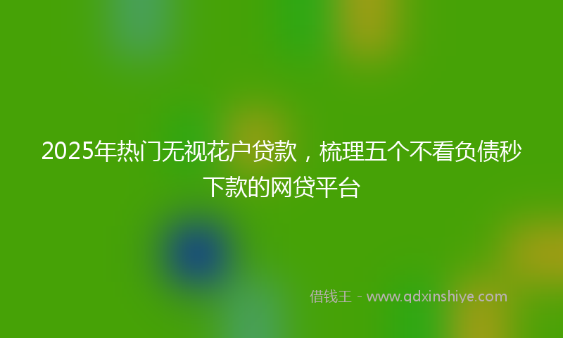 2025年热门无视花户贷款，梳理五个不看负债秒下款的网贷平台