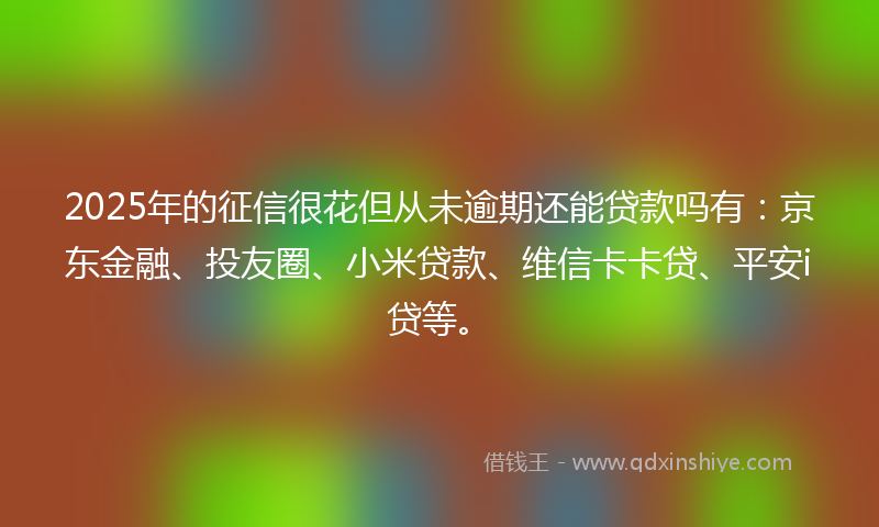 2025年的征信很花但从未逾期还能贷款吗有：京东金融、投友圈、小米贷款、维信卡卡贷、平安i贷等。