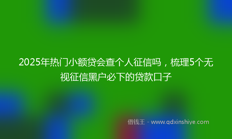 2025年热门小额贷会查个人征信吗，梳理5个无视征信黑户必下的贷款口子