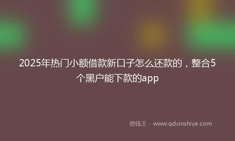 2025年热门小额借款新口子怎么还款的，整合5个黑户能下款的app