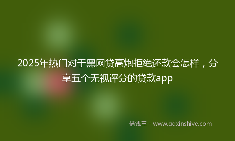 2025年热门对于黑网贷高炮拒绝还款会怎样，分享五个无视评分的贷款app