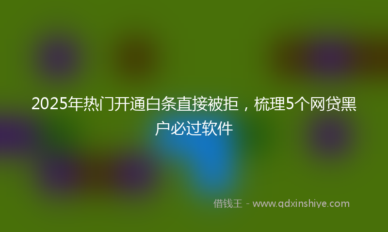 2025年热门开通白条直接被拒，梳理5个网贷黑户必过软件