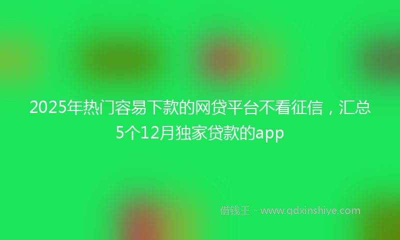 2025年热门容易下款的网贷平台不看征信，汇总5个12月独家贷款的app