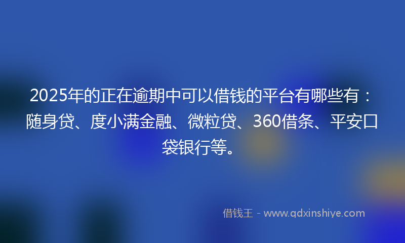 2025年的正在逾期中可以借钱的平台有哪些有：随身贷、度小满金融、微粒贷、360借条、平安口袋银行等。
