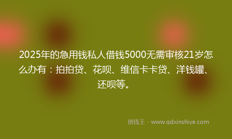 2025年的急用钱私人借钱5000无需审核21岁怎么办有：拍拍贷、花呗、维信卡卡贷、洋钱罐、还呗等。