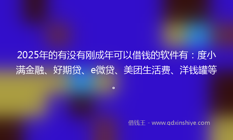 2025年的有没有刚成年可以借钱的软件有：度小满金融、好期贷、e微贷、美团生活费、洋钱罐等。