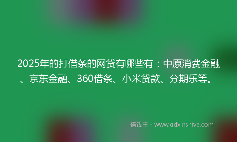 2025年的打借条的网贷有哪些有：中原消费金融、京东金融、360借条、小米贷款、分期乐等。