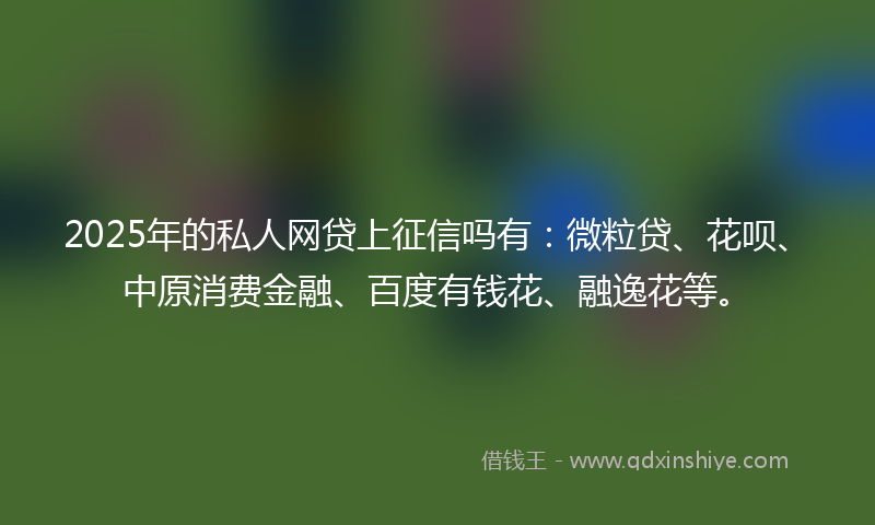 2025年的私人网贷上征信吗有：微粒贷、花呗、中原消费金融、百度有钱花、融逸花等。