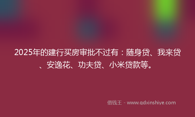 2025年的建行买房审批不过有:随身贷、我来贷、安逸花、功夫贷、小米贷款等。