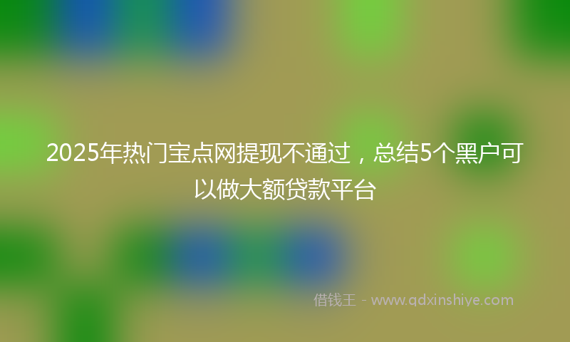 2025年热门宝点网提现不通过，总结5个黑户可以做大额贷款平台
