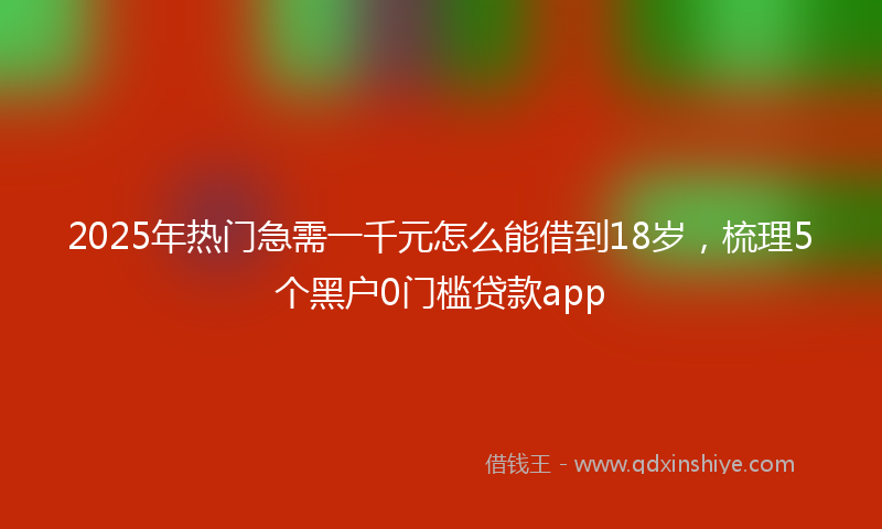 2025年热门急需一千元怎么能借到18岁，梳理5个黑户0门槛贷款app