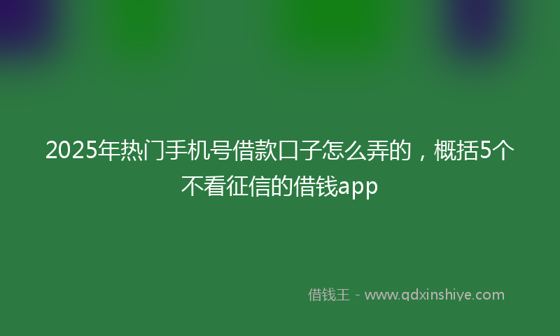 2025年热门手机号借款口子怎么弄的，概括5个不看征信的借钱app