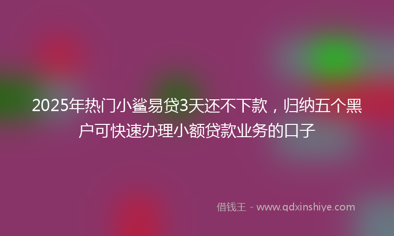2025年热门小鲨易贷3天还不下款，归纳五个黑户可快速办理小额贷款业务的口子