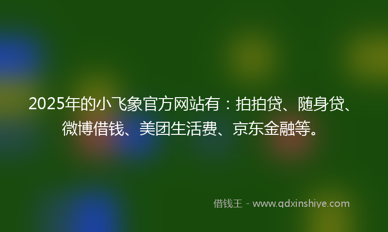 2025年的小飞象官方网站有：拍拍贷、随身贷、微博借钱、美团生活费、京东金融等。