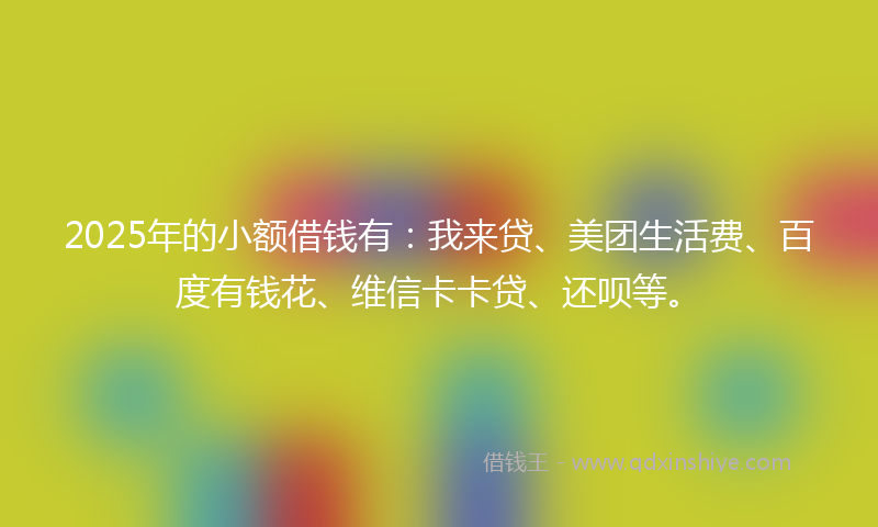 2025年的小额借钱有：我来贷、美团生活费、百度有钱花、维信卡卡贷、还呗等。