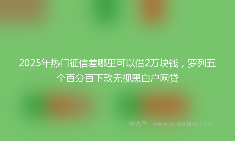 2025年热门征信差哪里可以借2万块钱，罗列五个百分百下款无视黑白户网贷