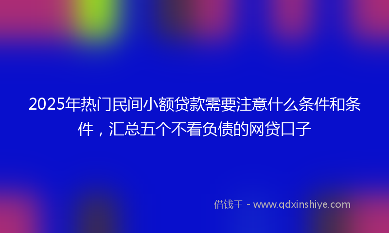 2025年热门民间小额贷款需要注意什么条件和条件，汇总五个不看负债的网贷口子