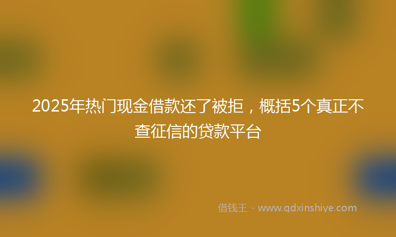 2025年热门现金借款还了被拒，概括5个真正不查征信的贷款平台