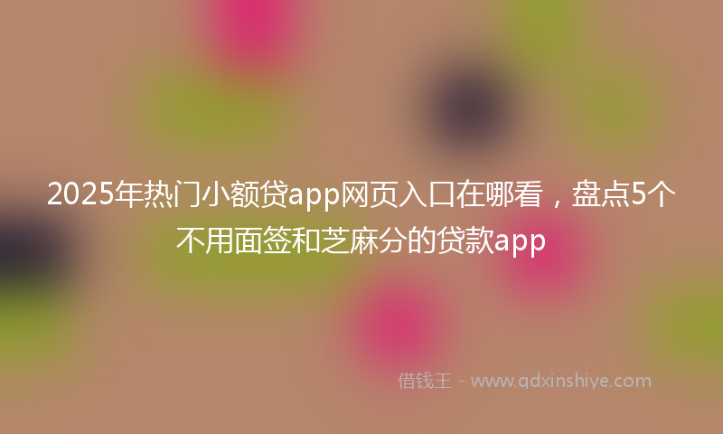 2025年热门小额贷app网页入口在哪看，盘点5个不用面签和芝麻分的贷款app
