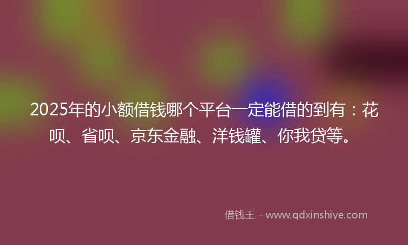 2025年的小额借钱哪个平台一定能借的到有：花呗、省呗、京东金融、洋钱罐、你我贷等。