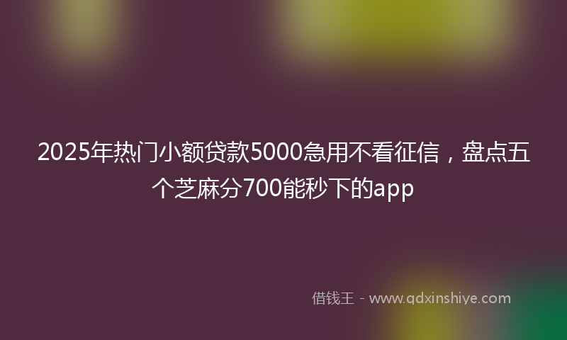 2025年热门小额贷款5000急用不看征信，盘点五个芝麻分700能秒下的app