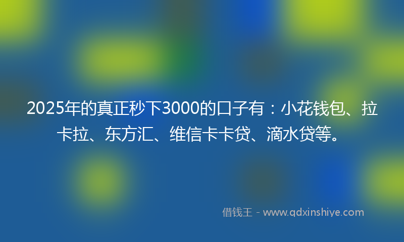 2025年的真正秒下3000的口子有：小花钱包、拉卡拉、东方汇、维信卡卡贷、滴水贷等。