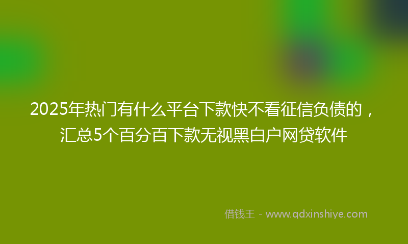 2025年热门有什么平台下款快不看征信负债的，汇总5个百分百下款无视黑白户网贷软件