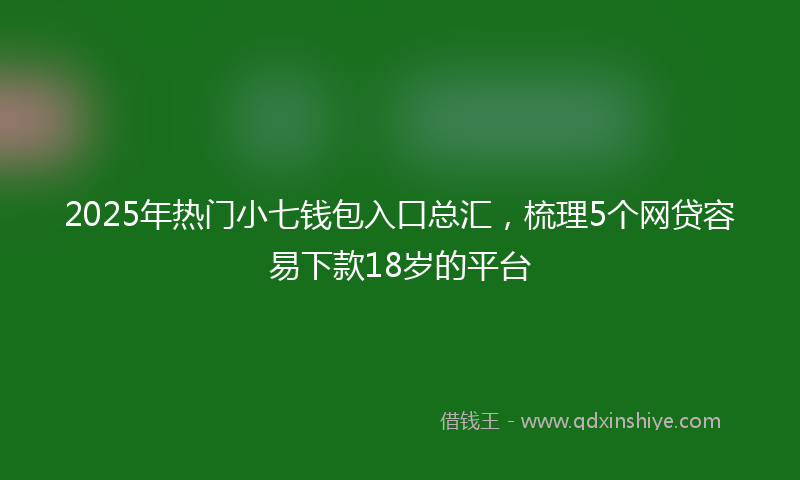 2025年热门小七钱包入口总汇，梳理5个网贷容易下款18岁的平台