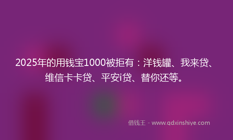 2025年的用钱宝1000被拒有：洋钱罐、我来贷、维信卡卡贷、平安i贷、替你还等。