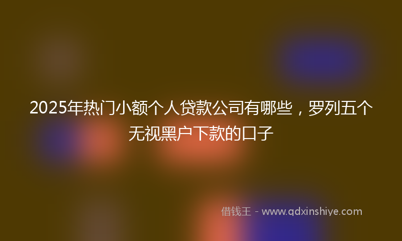2025年热门小额个人贷款公司有哪些，罗列五个无视黑户下款的口子